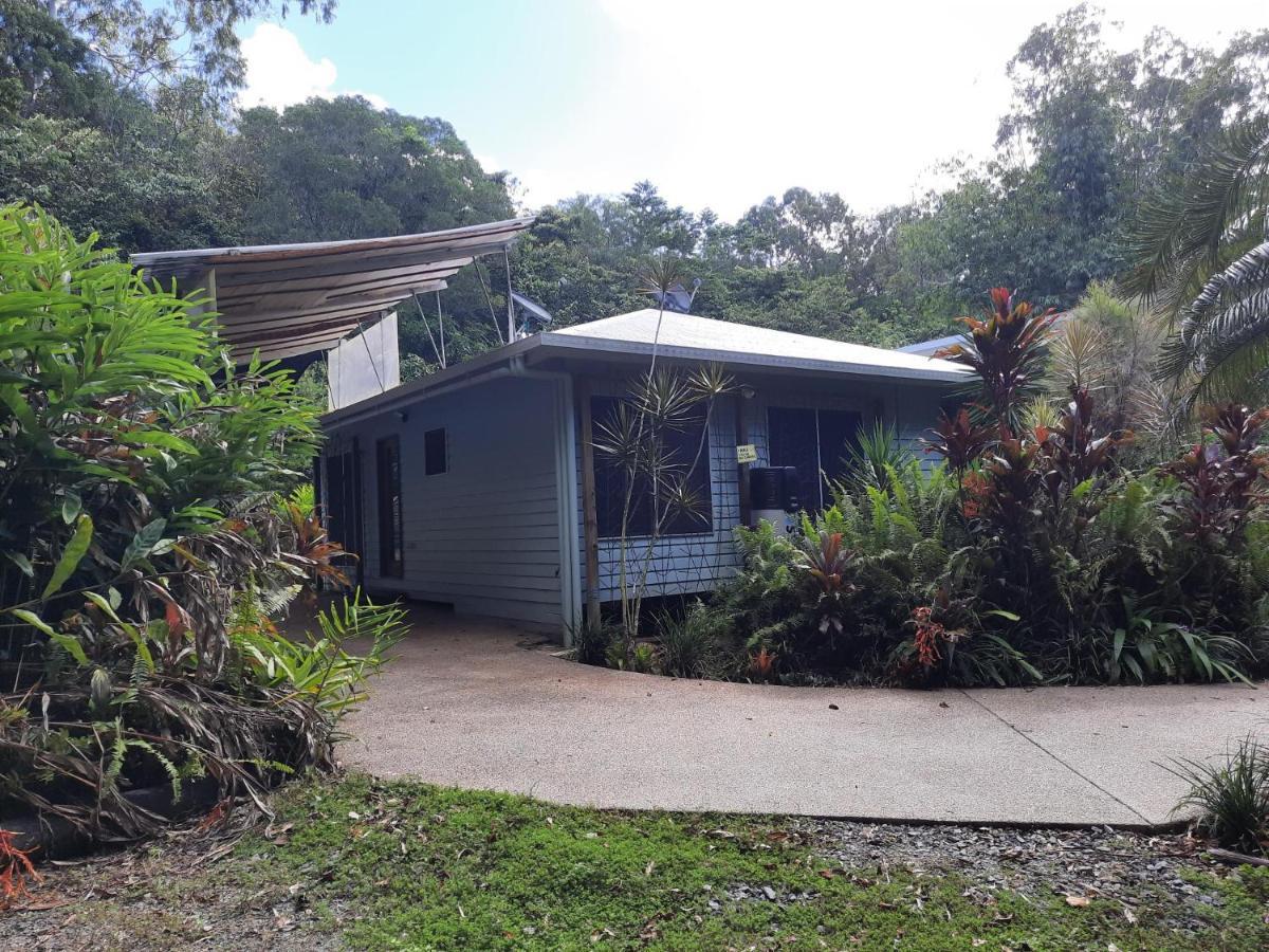 Daintree Rainforest Accommodation Cow Bay Kültér fotó